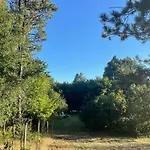 Peace In Forest At 60s In Odsherred Nykøbing Sjælland
