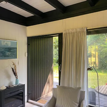 Peace In Forest At 60s In Odsherred Nykøbing Sjælland